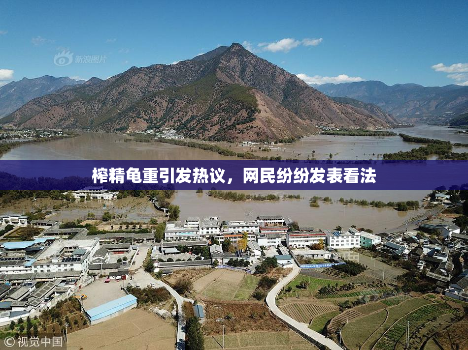 榨精龟重引发热议，网民纷纷发表看法
