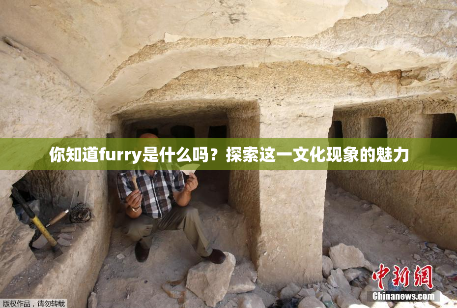 你知道furry是什么吗？探索这一文化现象的魅力