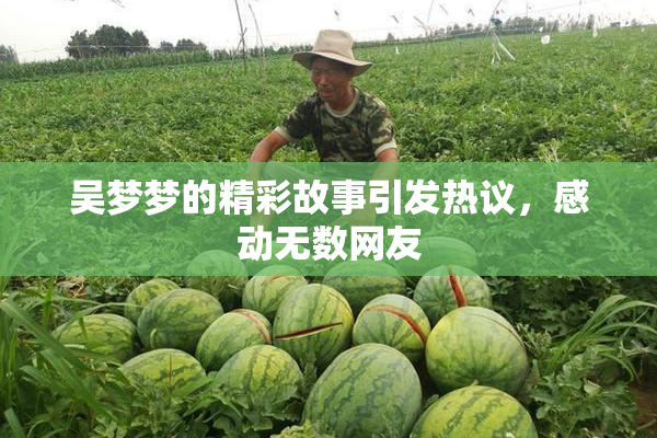 吴梦梦的精彩故事引发热议，感动无数网友