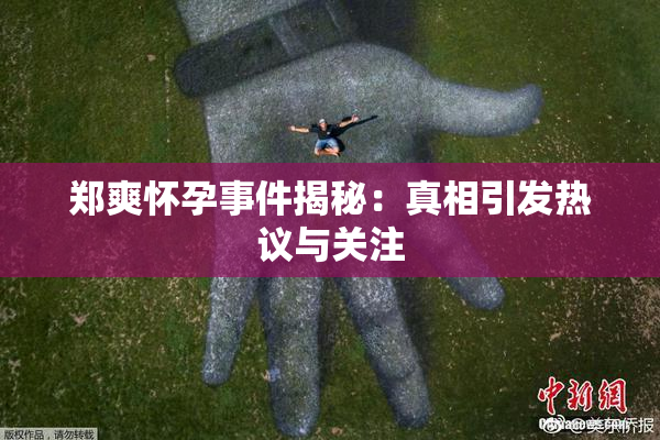 郑爽怀孕事件揭秘：真相引发热议与关注