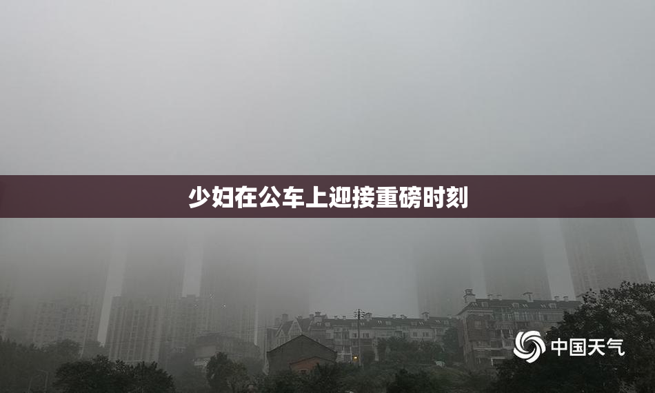 少妇在公车上迎接重磅时刻