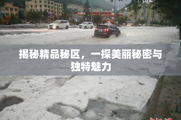 揭秘精品秘区，一探美丽秘密与独特魅力