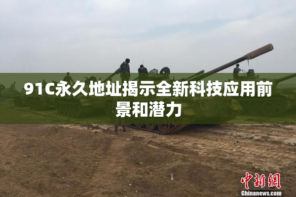 91C永久地址揭示全新科技应用前景和潜力