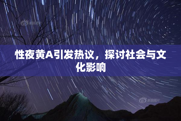 性夜黄A引发热议，探讨社会与文化影响