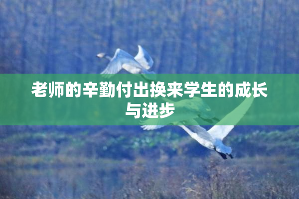 老师的辛勤付出换来学生的成长与进步