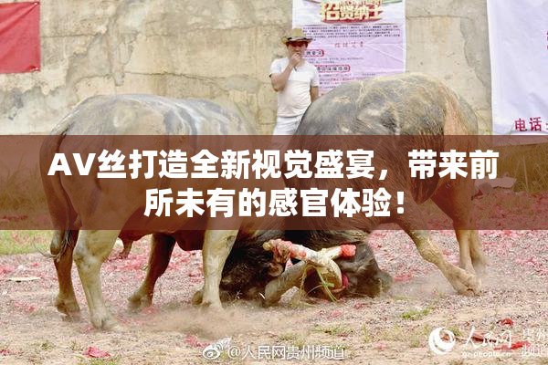 AV丝打造全新视觉盛宴，带来前所未有的感官体验！