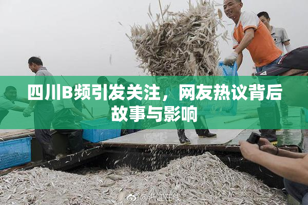 四川B频引发关注，网友热议背后故事与影响