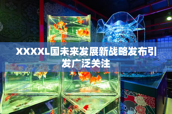 XXXXL国未来发展新战略发布引发广泛关注