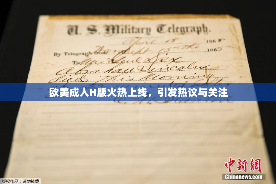 欧美成人H版火热上线，引发热议与关注