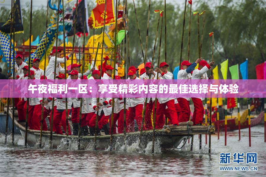 午夜福利一区：享受精彩内容的最佳选择与体验