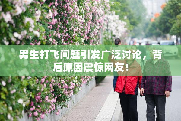 男生打飞问题引发广泛讨论，背后原因震惊网友！