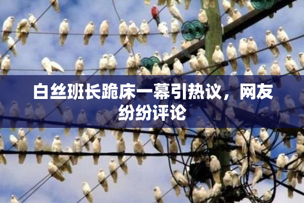 白丝班长跪床一幕引热议，网友纷纷评论