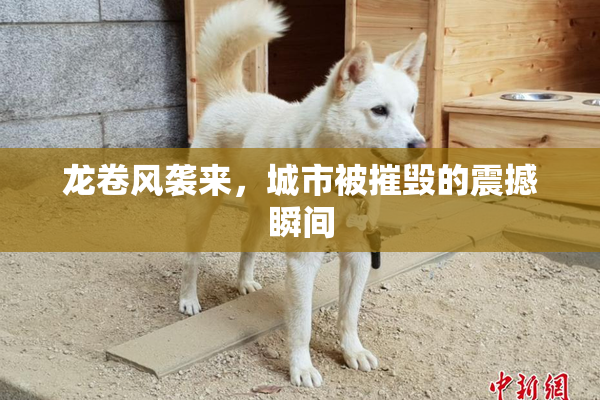 龙卷风袭来，城市被摧毁的震撼瞬间