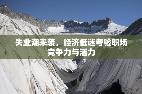 失业潮来袭，经济低迷考验职场竞争力与活力