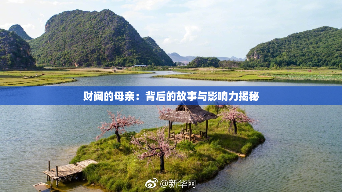 财阀的母亲：背后的故事与影响力揭秘