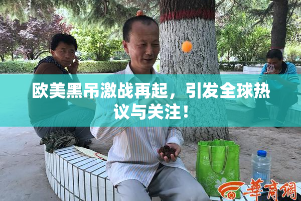 欧美黑吊激战再起，引发全球热议与关注！