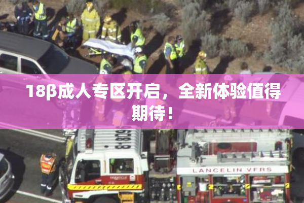 18β成人专区开启，全新体验值得期待！