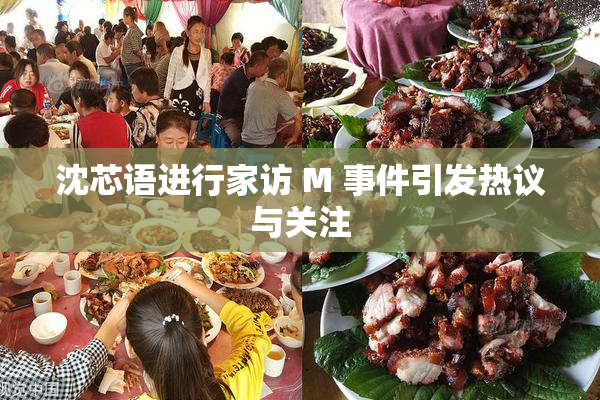 沈芯语进行家访 M 事件引发热议与关注