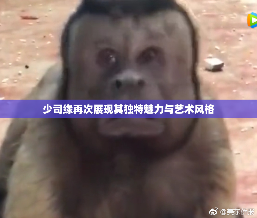 少司缘再次展现其独特魅力与艺术风格