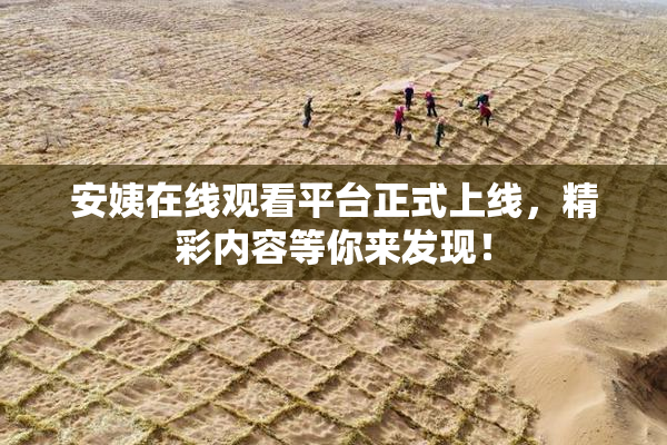 安姨在线观看平台正式上线，精彩内容等你来发现！