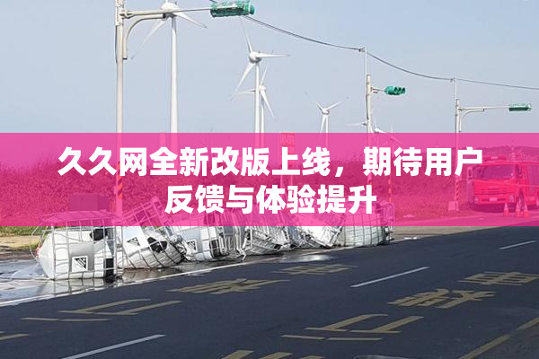 久久网全新改版上线，期待用户反馈与体验提升