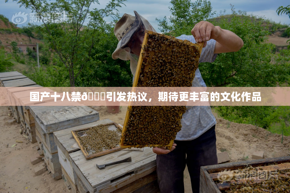 国产十八禁🔞引发热议，期待更丰富的文化作品