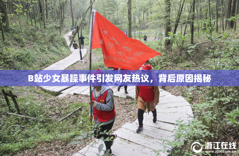 B站少女暴躁事件引发网友热议，背后原因揭秘