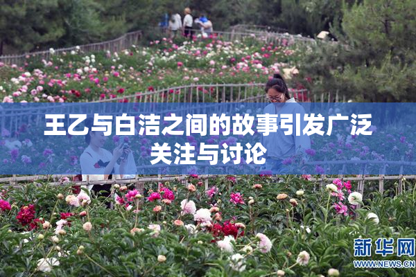 王乙与白洁之间的故事引发广泛关注与讨论