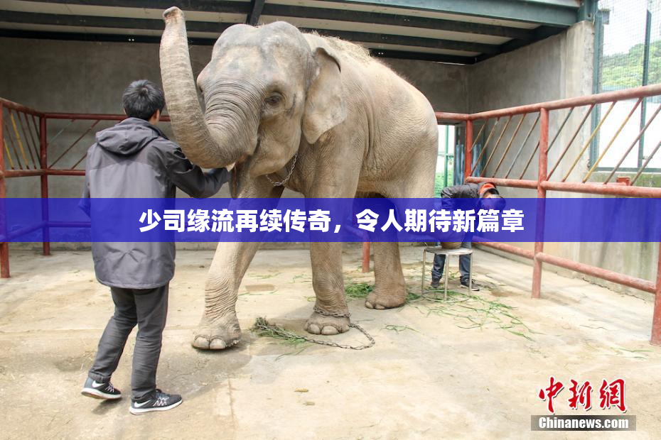 少司缘流再续传奇，令人期待新篇章