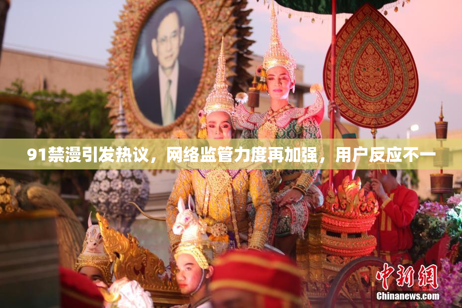 91禁漫引发热议，网络监管力度再加强，用户反应不一