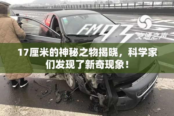 17厘米的神秘之物揭晓，科学家们发现了新奇现象！