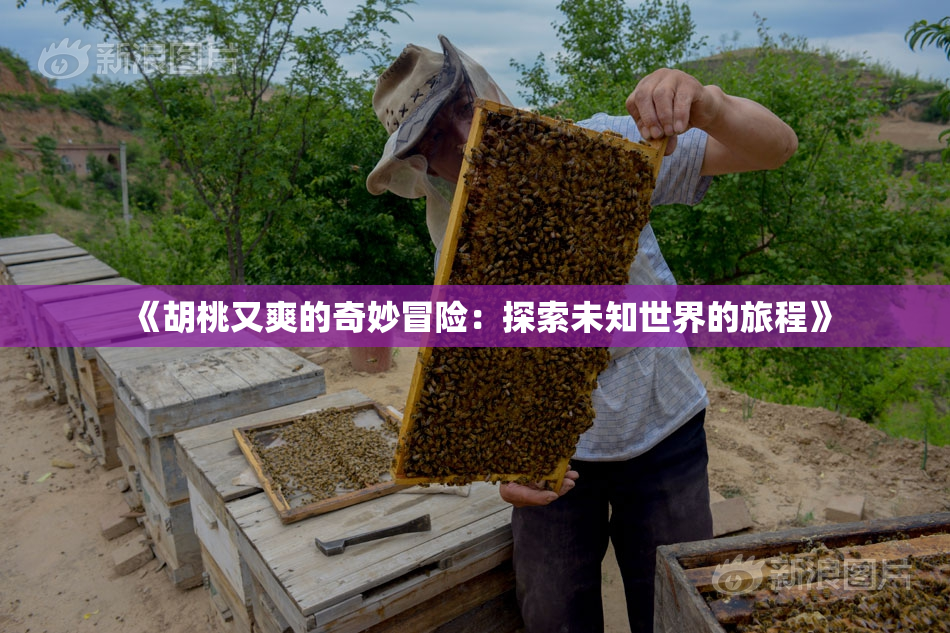 《胡桃又爽的奇妙冒险：探索未知世界的旅程》