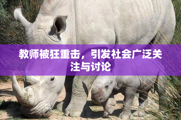 教师被狂重击，引发社会广泛关注与讨论
