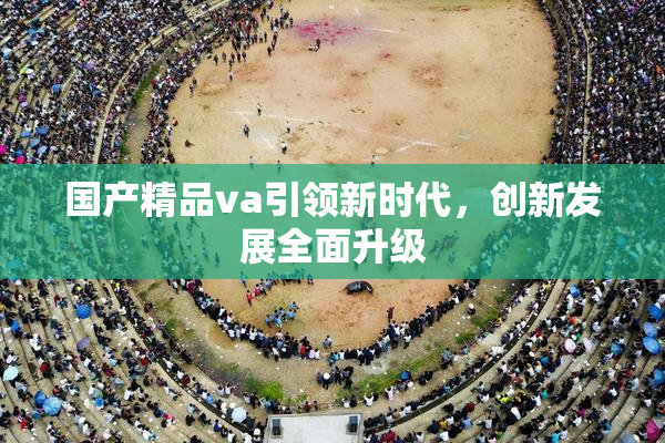 国产精品va引领新时代，创新发展全面升级