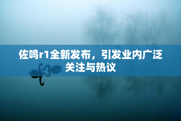 佐鸣r1全新发布，引发业内广泛关注与热议