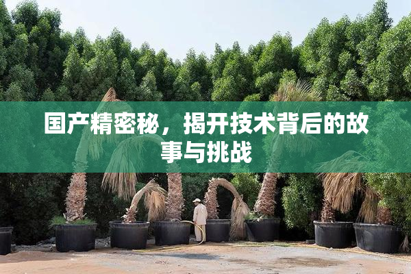 国产精密秘，揭开技术背后的故事与挑战