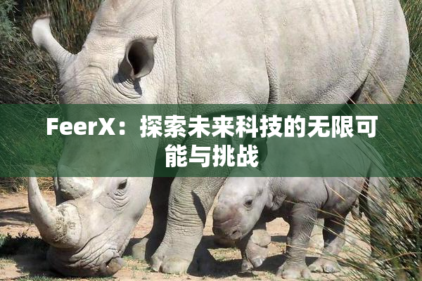 FeerX：探索未来科技的无限可能与挑战