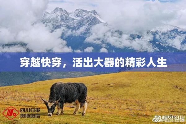 穿越快穿，活出大器的精彩人生