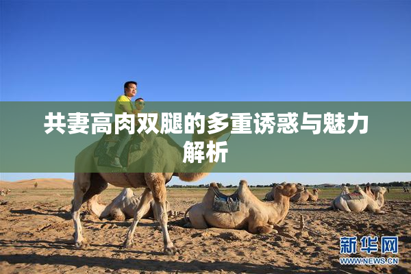共妻高肉双腿的多重诱惑与魅力解析