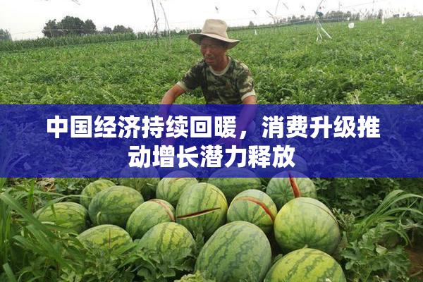 中国经济持续回暖，消费升级推动增长潜力释放