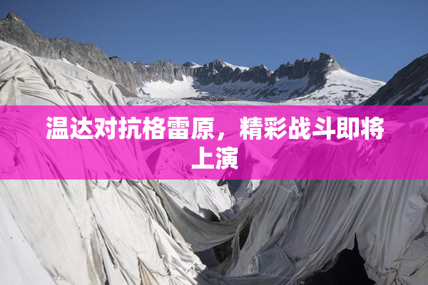 温达对抗格雷原，精彩战斗即将上演