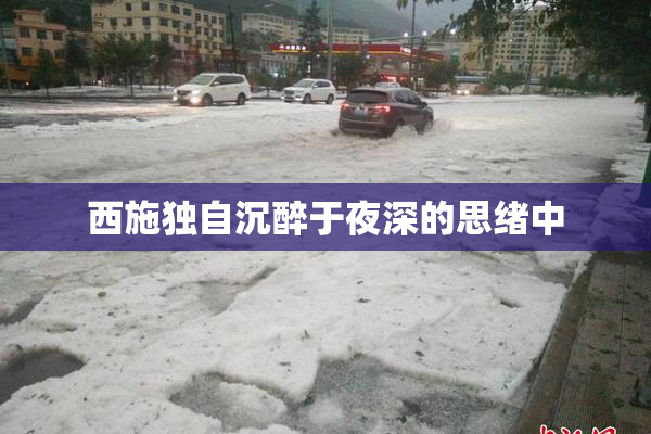 西施独自沉醉于夜深的思绪中