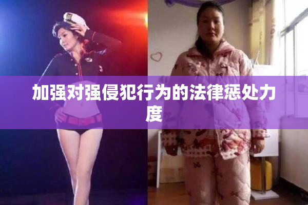 加强对强侵犯行为的法律惩处力度