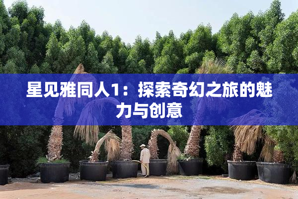 星见雅同人1：探索奇幻之旅的魅力与创意