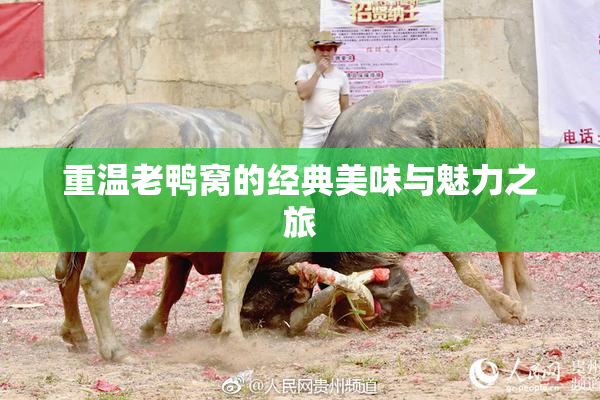 重温老鸭窝的经典美味与魅力之旅