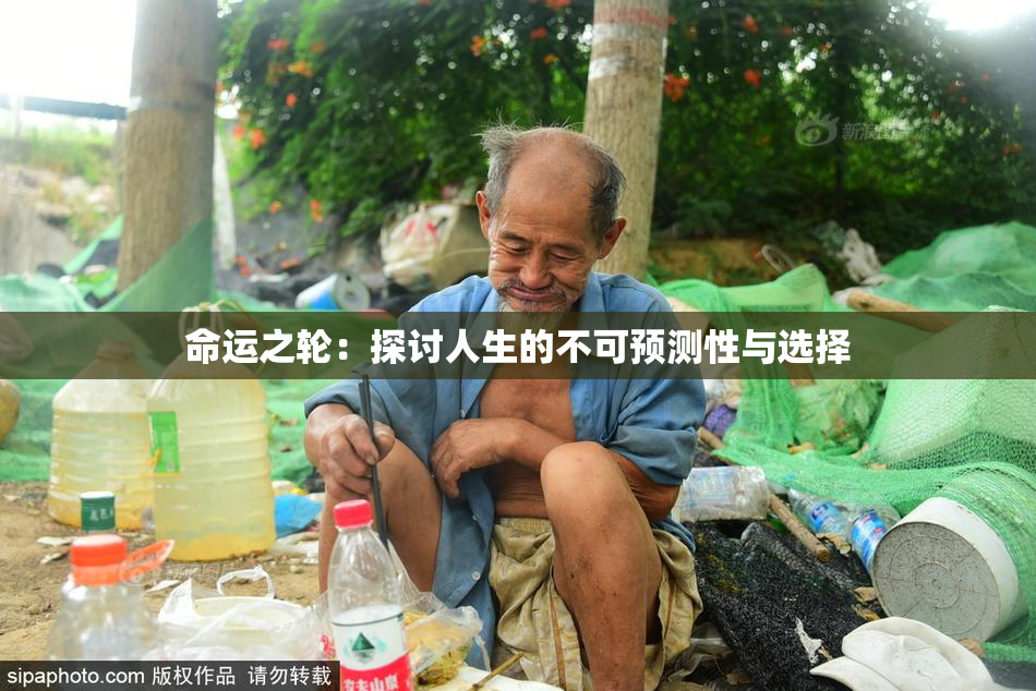 命运之轮：探讨人生的不可预测性与选择
