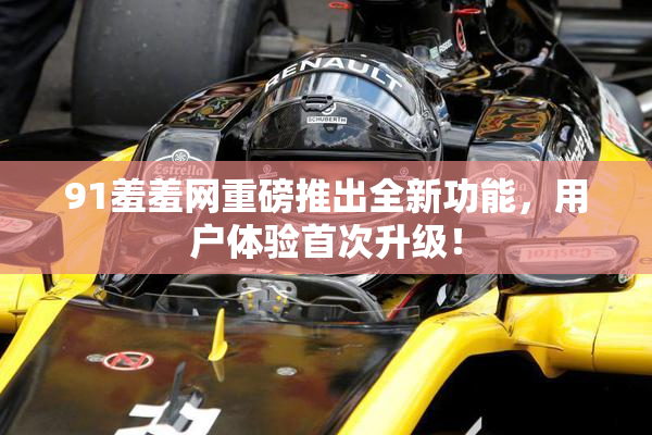 91羞羞网重磅推出全新功能，用户体验首次升级！