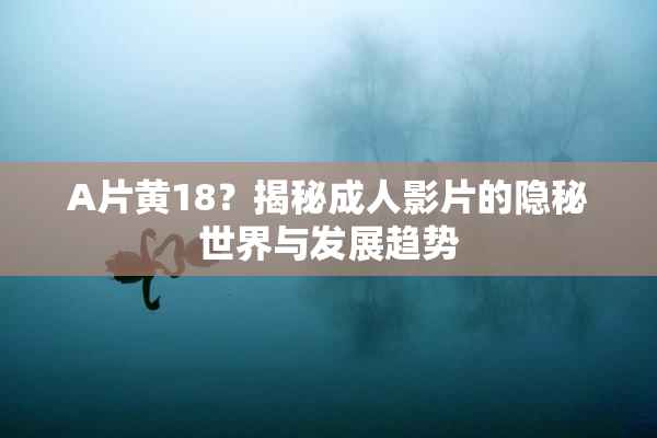 A片黄18？揭秘成人影片的隐秘世界与发展趋势