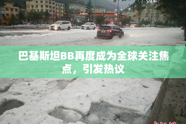 巴基斯坦BB再度成为全球关注焦点，引发热议