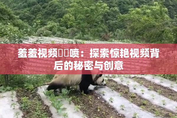羞羞视频❌‌喷：探索惊艳视频背后的秘密与创意
